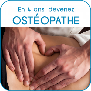 Ecole Aquitaine Ostéopathie - Formation professionnelle diplômante - Post-Graduate - Ostéopathie animale - Stages - Bordeaux - Gironde