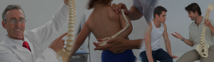 Ecole Aquitaine Ostéopathie - Formation professionnelle diplômante - Post-Graduate - Ostéopathie animale - Stages - Bordeaux - Gironde